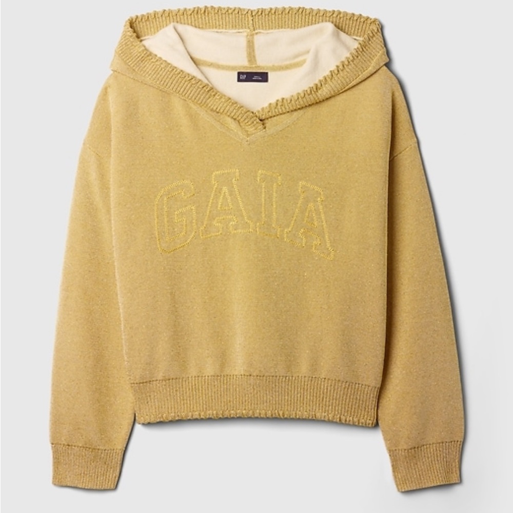 Gap × Cult Gaia Metallic Hoodie